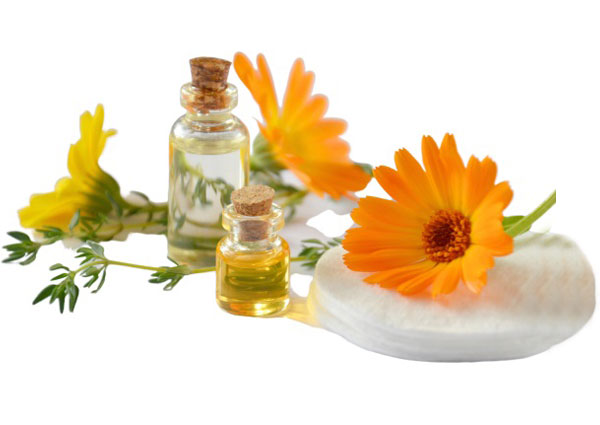 About Essential Oils Preview